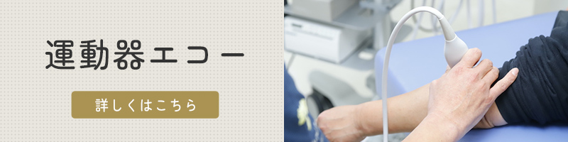 運動器エコー(バナー)